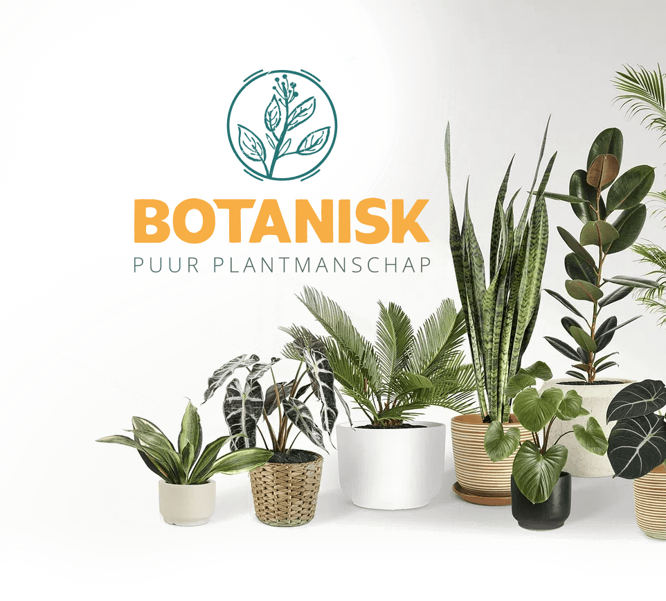 Samen werking tussen Botanisk en Hamofa Brand Builders